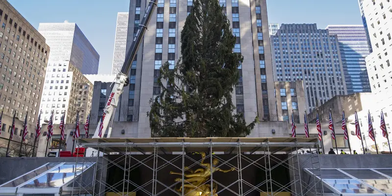 Sambut Natal, New York Pasang Pohon Cemara Raksasa