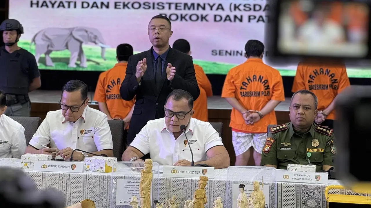 Bareskrim Polri Bongkar Sindikat Perdagangan Gading Gajah di Sukabumi dan Jakarta