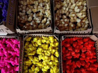 Anak ayam warna-warni saat ditawarkan penjual di pasar unggas kecil di Jakarta 18 Mei 2016. Ayam-ayam diwarnai dengan cara mencelupkan mereka dengan pewarna disebuah ember. (REUTERS / Darren Whiteside)