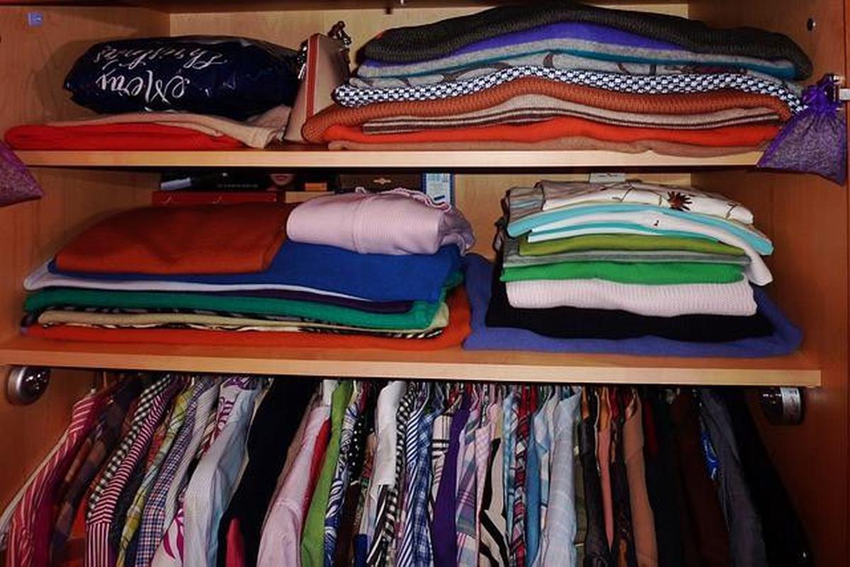8 Cara Membasmi Telur Kecoak yang Tersembunyi di Dapur dan Lemari, Biar Tak Menetas Diam-Diam