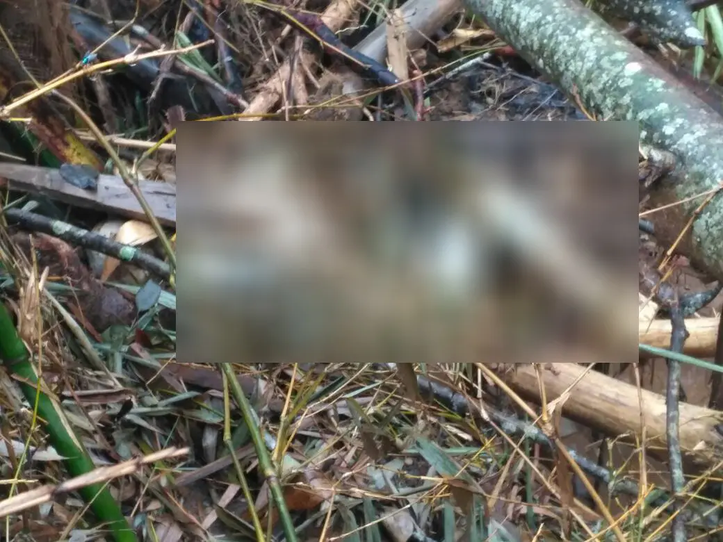 Satu jenazah korban longsor Ponorogo kembali ditemukan. (Foto: Istimewa/BPBD Ponorogo/Dian Kurniawan)