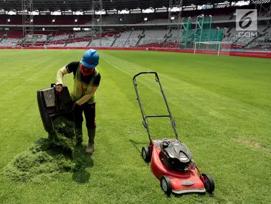 Pekerja memotong rumput Stadion Utama Gelora Bung Karno, Senayan, Jakarta, Jumat (20/10). Renovasi untuk Asian Games 2018 dengan nilai kontrak yang ditaksir mencapai Rp 769,7 miliar ini ditarget rampung pada Desember 2017. (Liputan6.com/Johan Tallo)