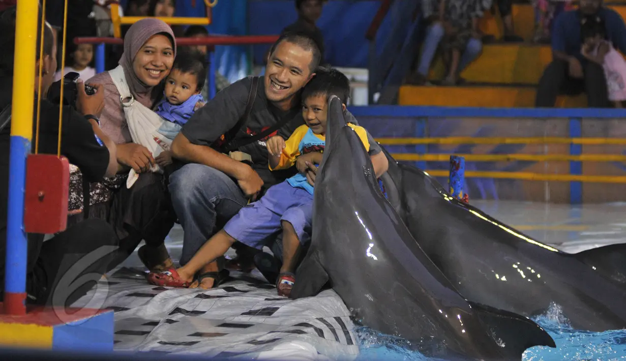 Pengunjung berfoto bersama dengan lumba-lumba dalam atraksi sirkus lumba-lumba keliling di Kota Depok, Minggu (31/5). Pertunjukan tersebut digelar hingga 14 Juni mendatang, dengan tarif antara Rp35ribu-Rp50ribu. (Liputan6.com/Herman Zakharia)