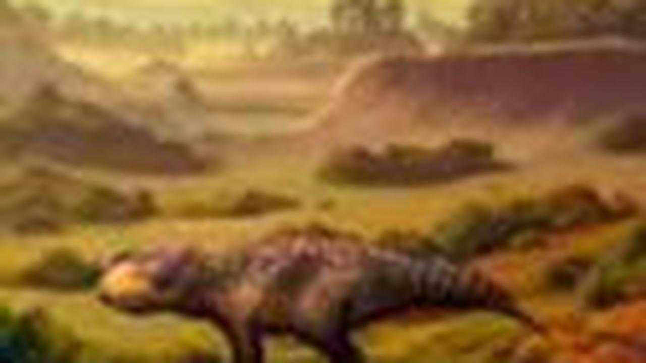 Spesies Baru Dinosaurus Herbivora Ditemukan di Kanada