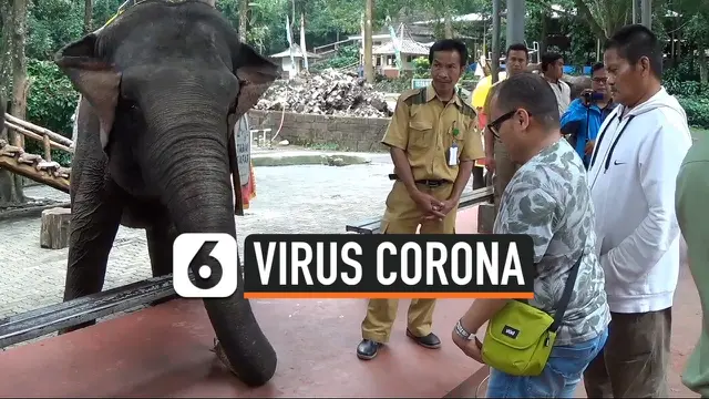 wisata corona thumbnail