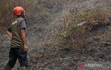 Karhutla Parigi Moutong: Dua Hektare Lahan Mineral Terbakar, Penanganan Terus Berlanjut