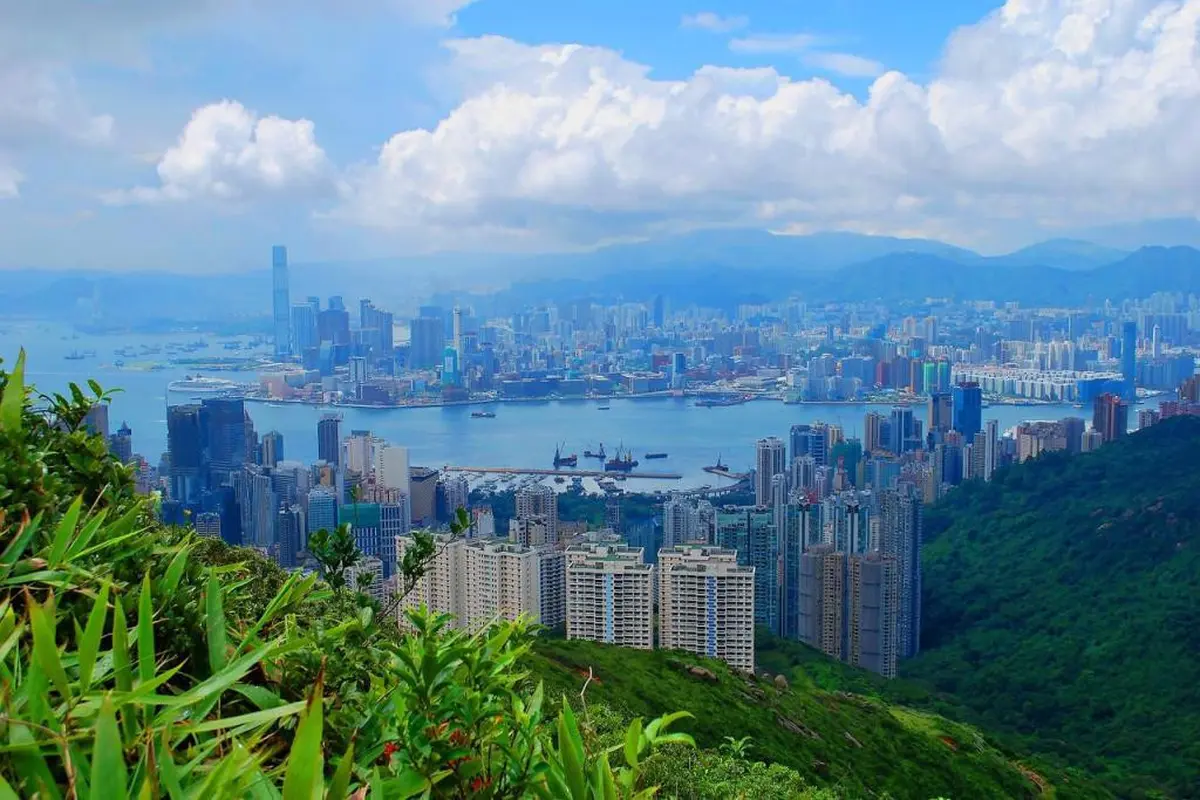 Keluarga di Hong Kong Bertukar Rumah untuk Liburan Musim Panas
