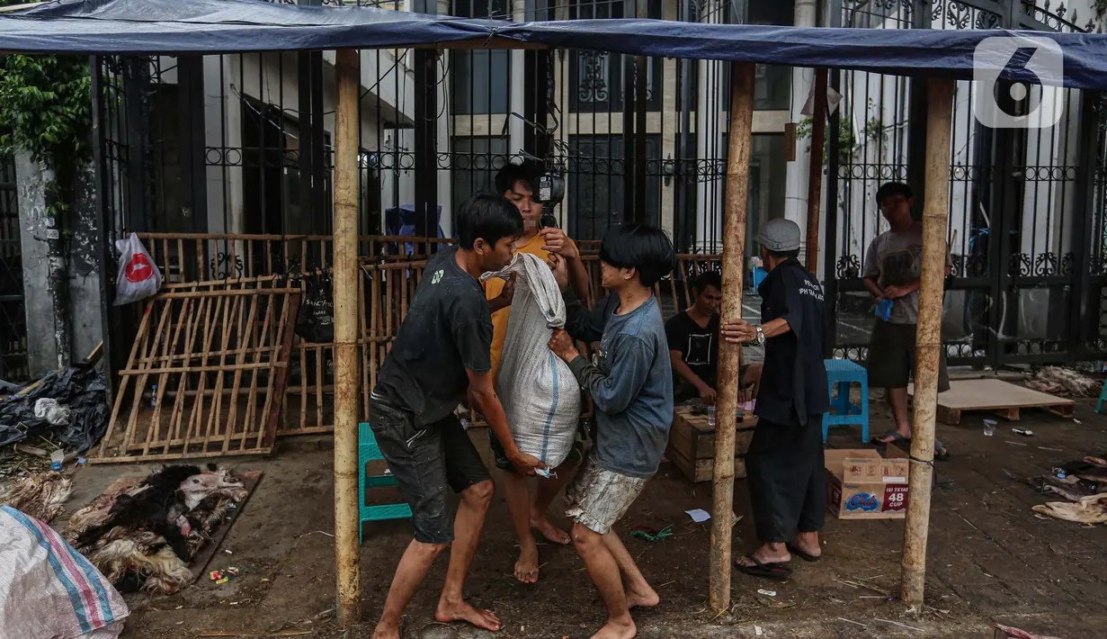 Setiap Idul Adha, para pengepul mengaku selalu kebanjiran kulit sapi dan kambing kurban yang dijual. (Liputan6.com/Angga Yuniar)