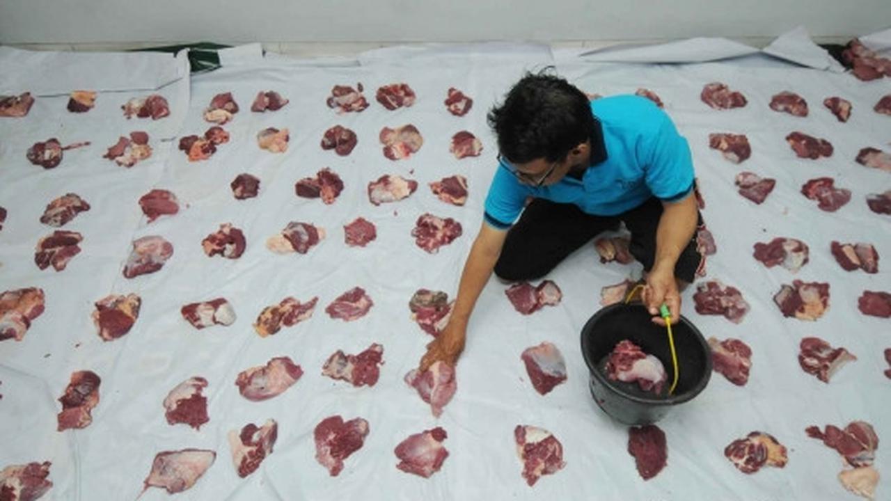 Antusiasme warga berebut daging kurban di DPP LDII