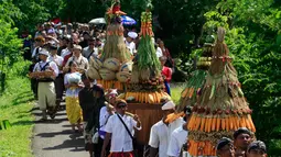 Sejumlah umat hindu mengikuti arak arakan upacara Melasti di Pantai Ngobaran ,Gunung Kidul,Yogyakarta, (22/2).Melasti merupakan upacara mensucikan diri menyambut perayaan tahun baru Nyepi.(Boy Harjanto)