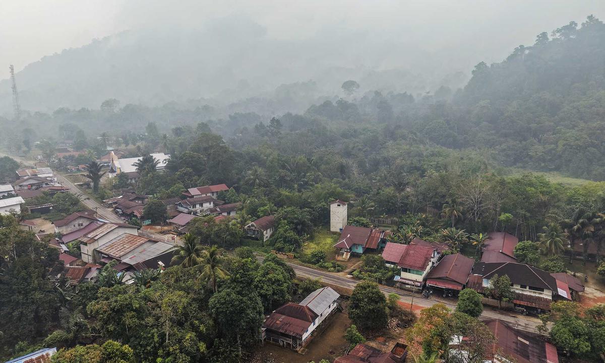 Kebakaran Hutan Terus Meluas di Kalimantan Barat