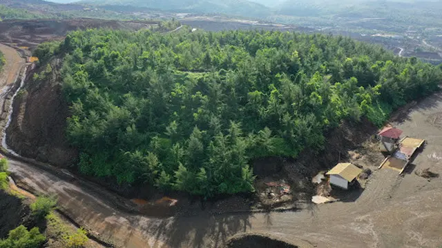 Salah satu area reklamasi di area bekas lahan tambang Harita Nikel
