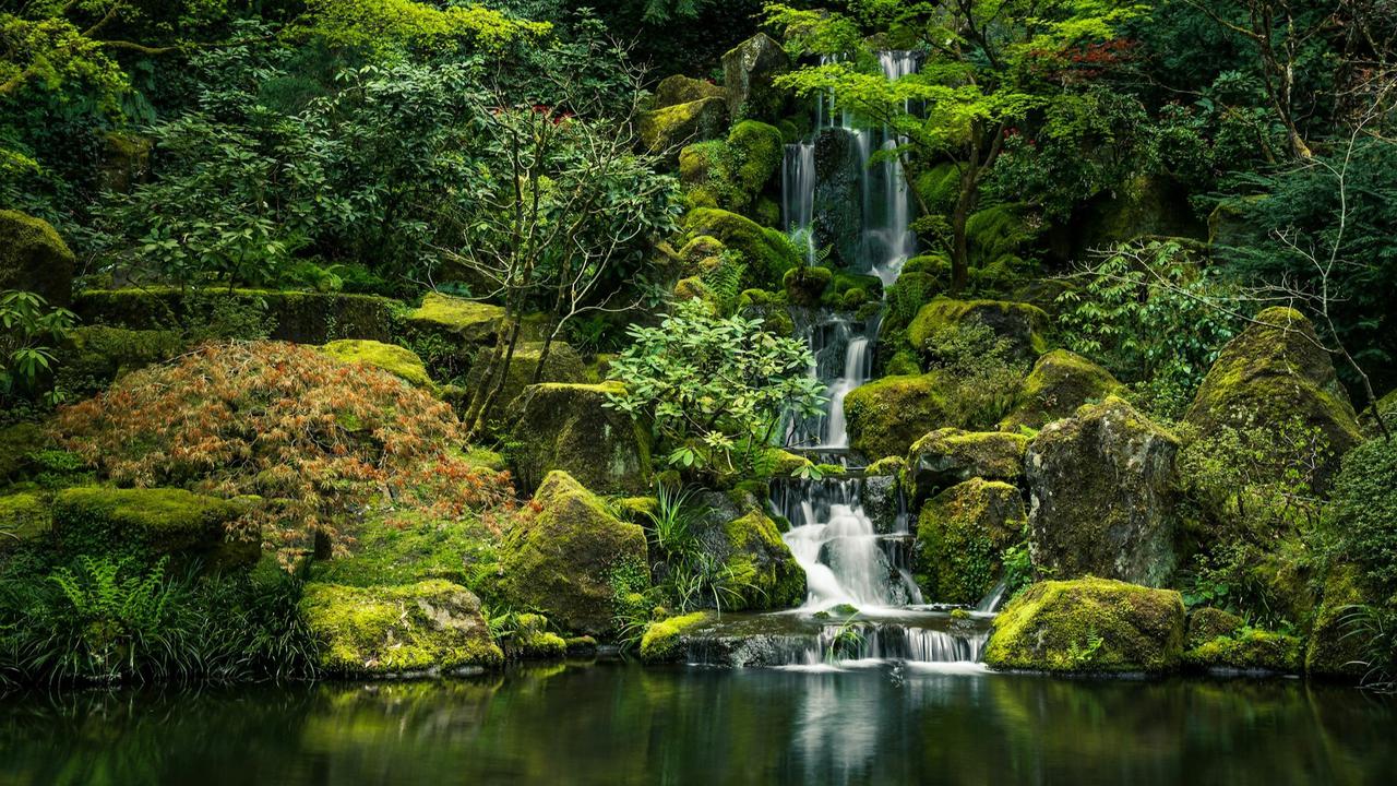 Japanese Garden in Portland