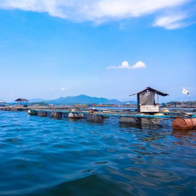 Waduk Di Cianjur Ini Jadi Wisata Favorit Turis Timur Tengah News