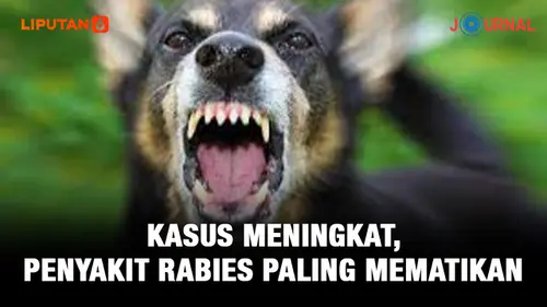 VIDEO JOURNAL: Waspada Rabies, Penyakit Paling Mematikan