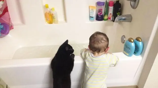 Jadi Teman Si Kecil, Ini 7 Potret Kucing saat Jaga Bayi Ini Menggemaskan