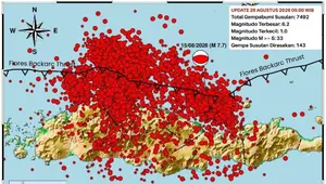 7.492 Gempa Susulan Guncang Flores