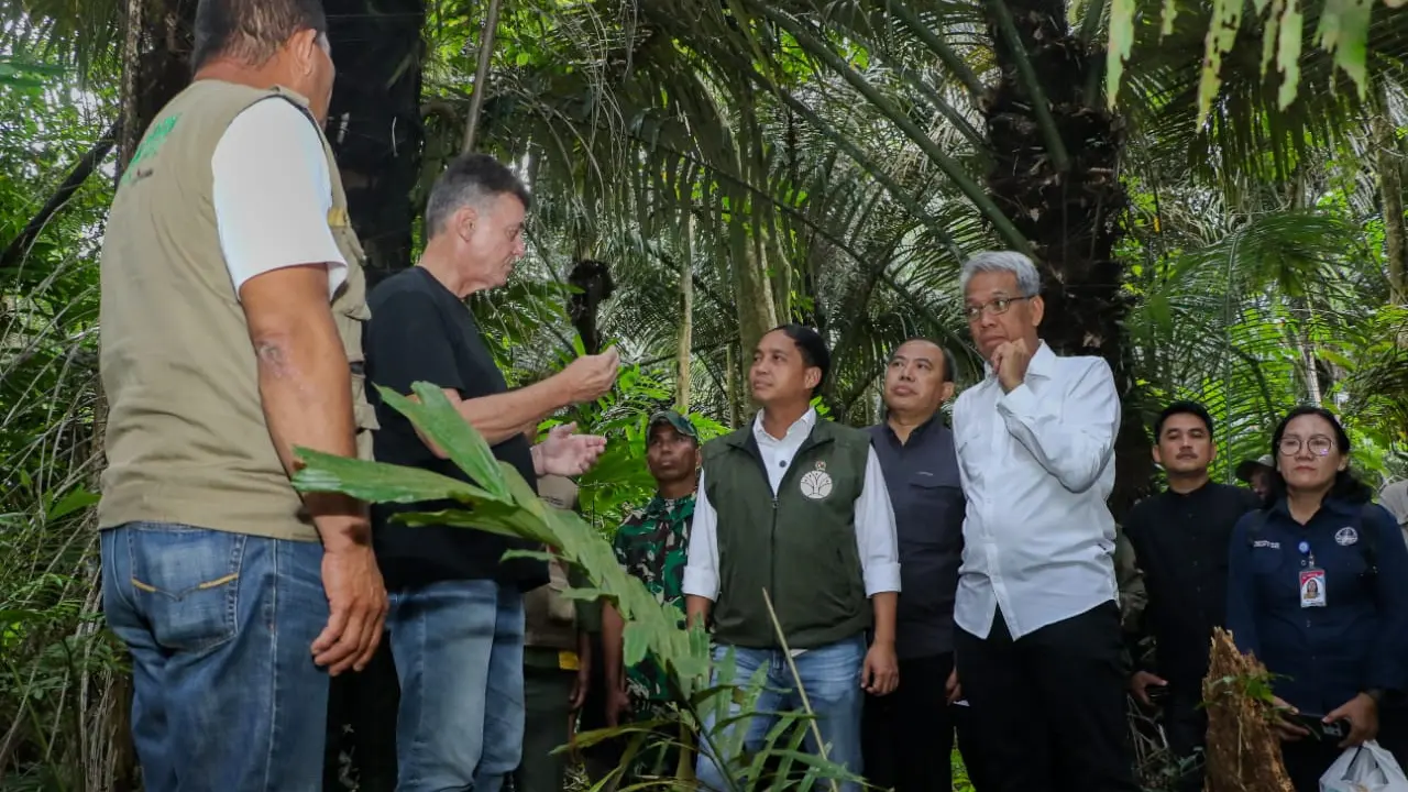 Menhut Raja Juli Antoni (tengah) mendengarkan saat meninjau penyadapan nila aren dan produksi gula semut di Yayasan Masarang, Tomohon, Sulawesi Utara, Jumat (13/12/2024) (Istimewa)