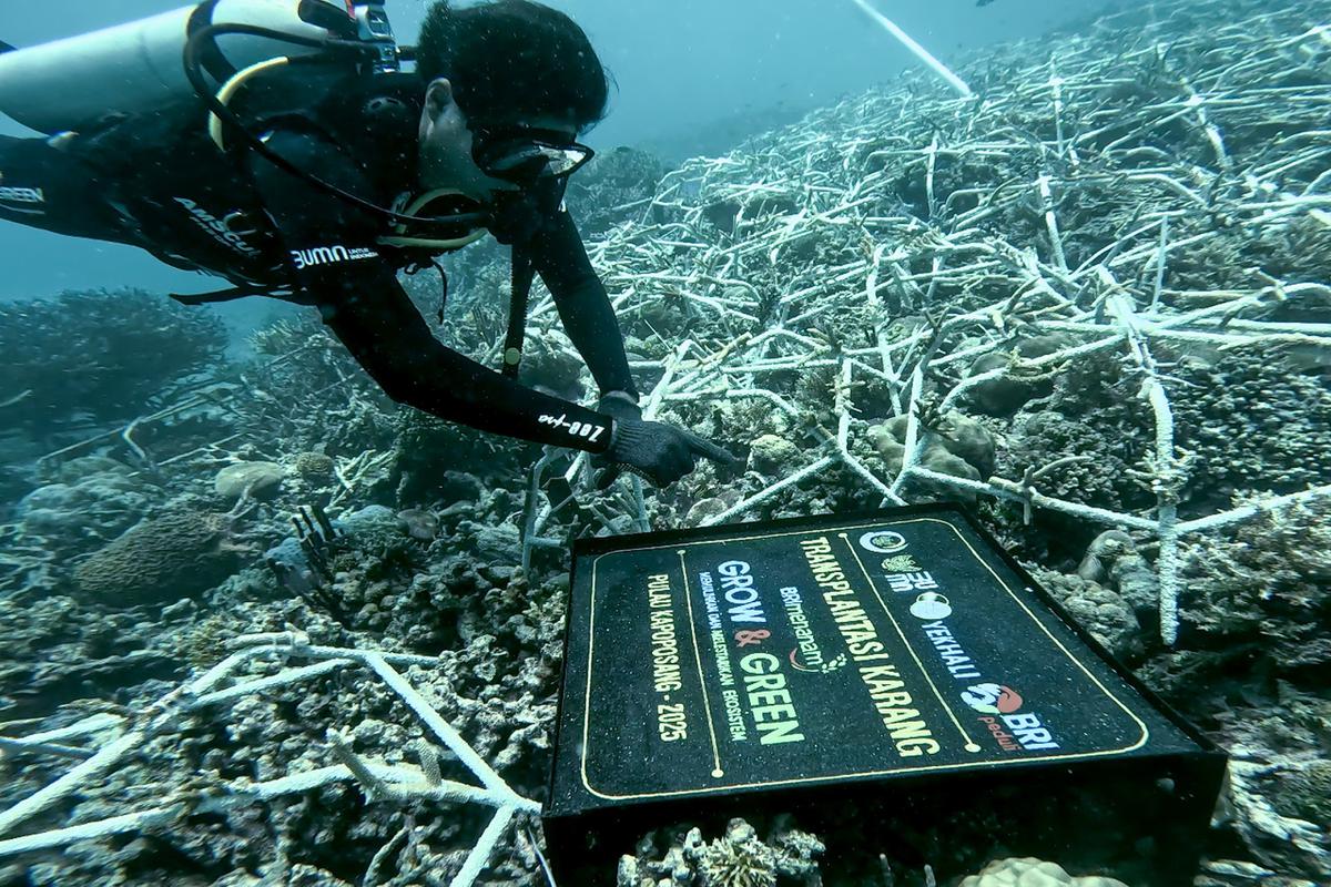 BRI Pertegas Komitmen Jaga Ekosistem Lingkungan melalui BRI Menanam