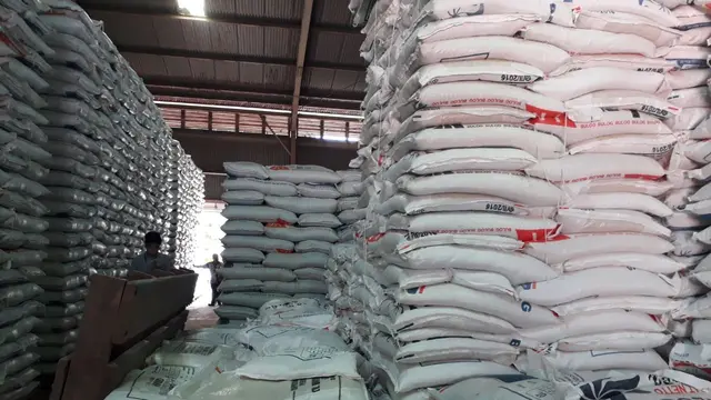 Bulog Sumsel Hanya Serap 31 Persen Beras Petani Lokal
