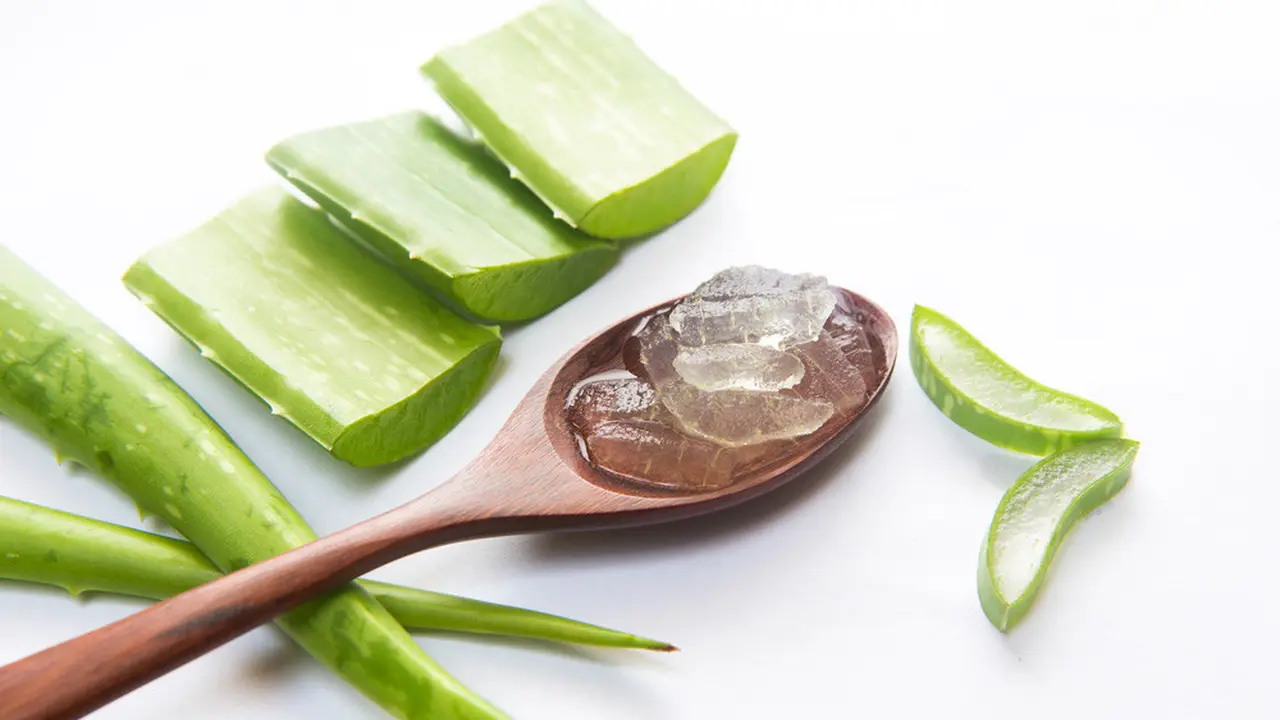 6 Manfaat Lidah Buaya untuk Rambut si Kecil (Thanatip S/Shutterstock)