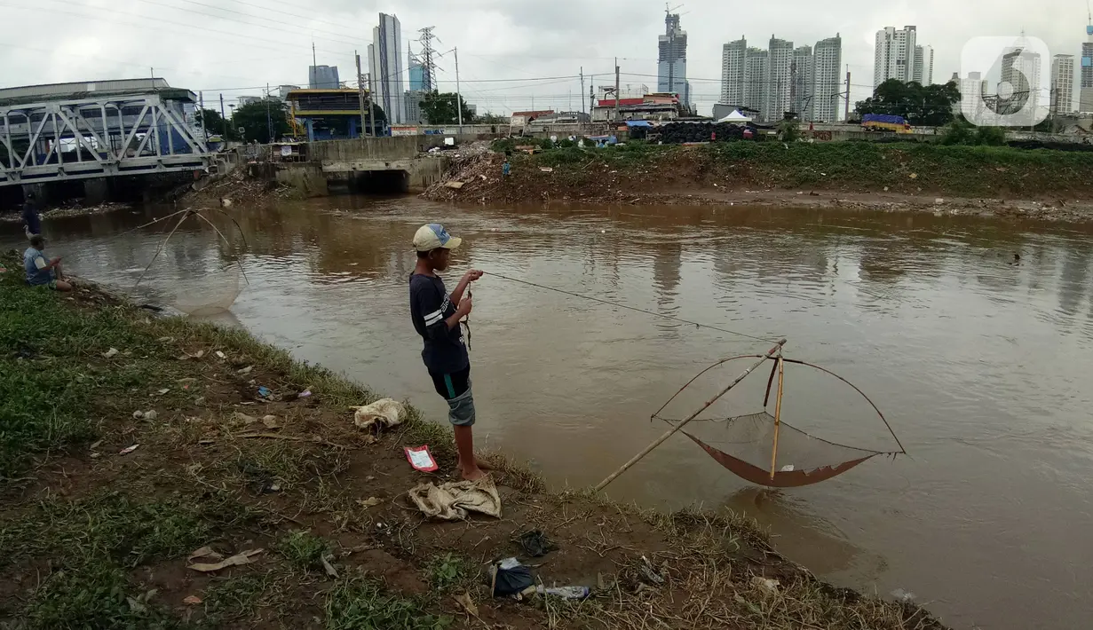 Warga mencari ikan dengan menggunakan jala di Banjir Kanal Barat, Tanah abang, Jakarta, Sabtu (4/1/2020). Debit air yang mulai surut di aliran tersebut dimanfaatkan warga untuk mencari ikan. (Liputan6.com/Angga Yuniar)