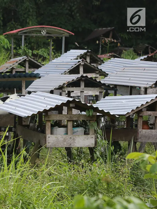 Suasana Dango Subur atau rumah kuburan di desa Sebatih, Kecamatan Sengah Temila, Kabupaten Landak, Kalimantan Barat pada 8 gustus 2019. Dango Subur atau rumah kuburan ini menyimpan perlengkapan dan peralatan semasa hidup untuk menjadi bekal untuk almarhum di alam lain. (Liputan6.com/Herman Zakharia)