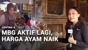 Program MBG Aktif Lagi, Pemerintah Kendalikan Harga Beli Ayam