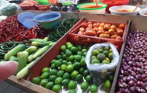 sumber foto : haniah nabilah