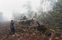 Kisah pekerja kebun kelapa sawit berjibaku padamkan kebakaran hutan