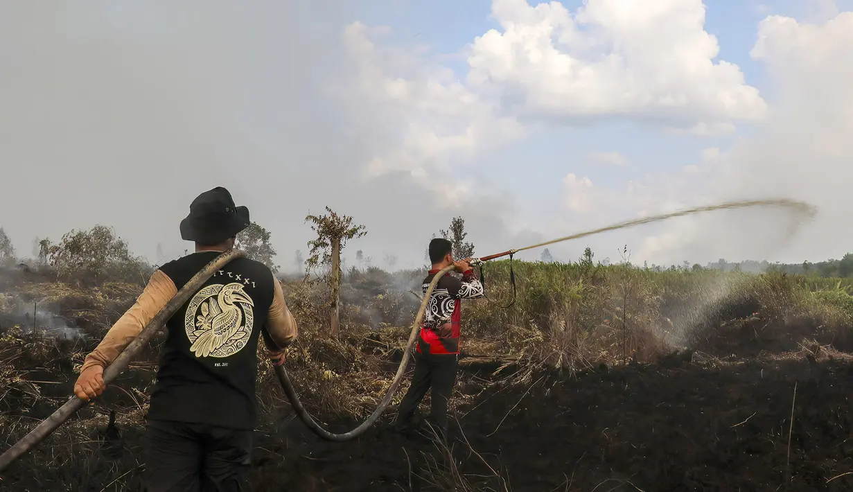 Petugas pemadam kebakaran  memadamkan kebakaran hutan pada lahan gambut seluas lebih dari 100 hektar) di Pulang Pisau, Provinsi Kalimantan Tengah, Indonesia, Jumat, 31 Juli 2026.  (AFP/ Reina)