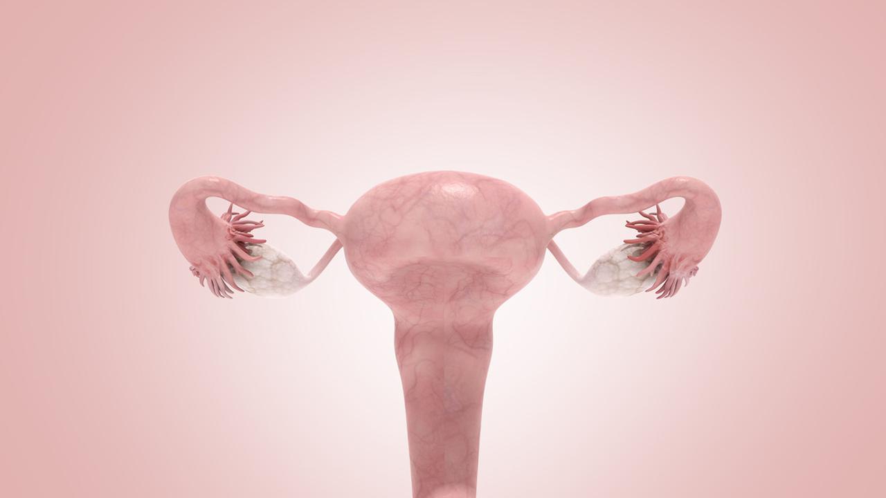 Infertilitas Adalah Gangguan Kesuburan pada Wanita, Kenali Gejala dan Penyebabnya