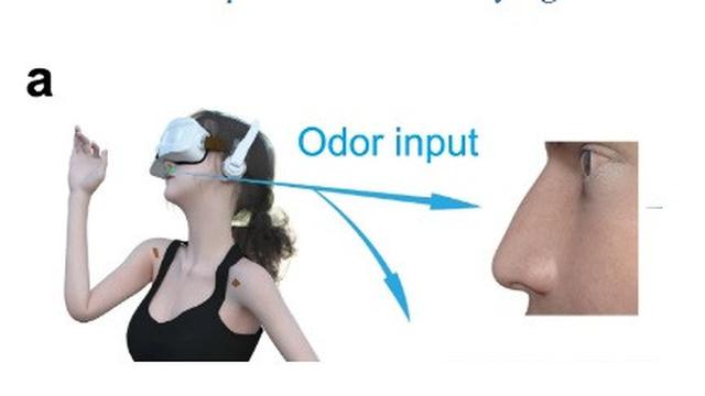 Terobosan Teknologi Indra Penciuman Jarak Jauh