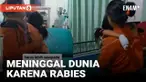 Bocah kena rabies