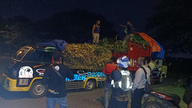 Komunitas Peternak Kambing Etawas "Mas Kumambang" Kota Kediri, Jawa Timur mengirimkan bantuan pakan ternak