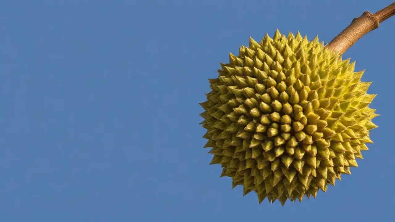 9 Prinsip Pola Makan Sehat bagi Pasien Penyakit Jantung, Salah Satunya Hindari Nangka dan Durian