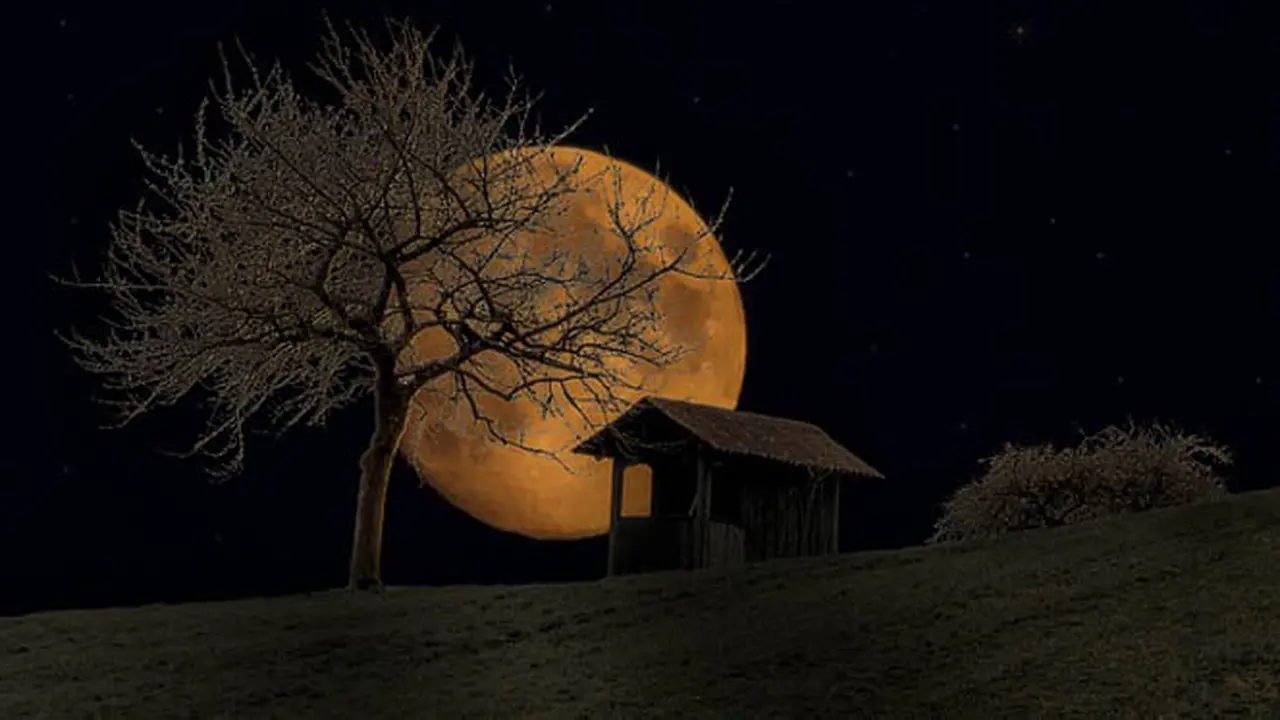Menguak Misteri Malam 1000 Bulan