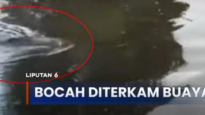 Kengerian di Sungai: Bocah Mandi Tiba-tiba Diseret Buaya Predator