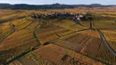 Pemandangan udara desa Hunawihr, Prancis, dengan gereja Saint-Jacques-le-Majeur (kiri) dan dikelilingi kebun anggur Alsace pada musim gugur, 26 Oktober 2021. Saat memasuki pertengahan bulan Oktober, daun-daun akan berubah warna menyajikan pemandangan musim gugur yang memesona (SEBASTIEN BOZON / AFP)