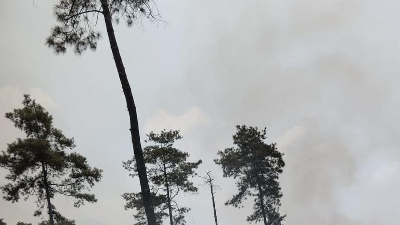 Terungkap, Penyebab Kebakaran di Gunung Guntur Akibat Siswa SMP Bakar Alang-Alang