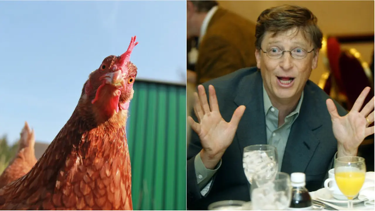 Ayam dan Bill Gates