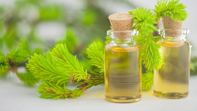 Tea Tree Oil