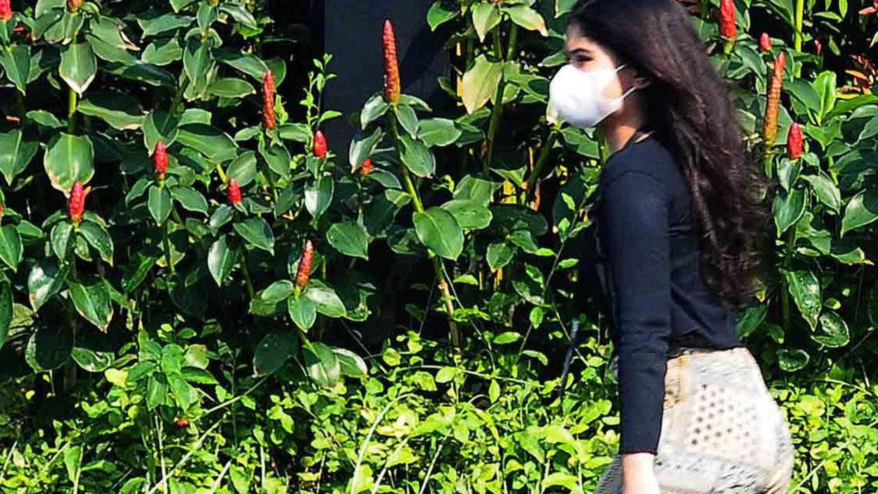 "Untuk antisipasi sebaiknya kalau keluar dari ruangan tertutup menuju ruang terbuka sebaiknya menggunakan masker," kata, Dinas Kesehatan DKI Jakarta.
merdeka.com/imam buhori