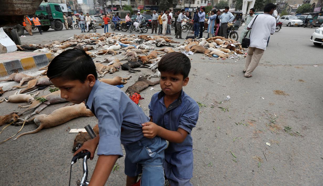 Dua bocah berbonceng sepeda melewati bangkai anjing di kawasan Karachi, Pakistan, Kamis (4/8). Pemerintah setempat terpaksa melakukan pembinasaan tersebut dengan alasan jumlah anjing liar yang terus meningkat. (REUTERS/Akhtar Soomro)