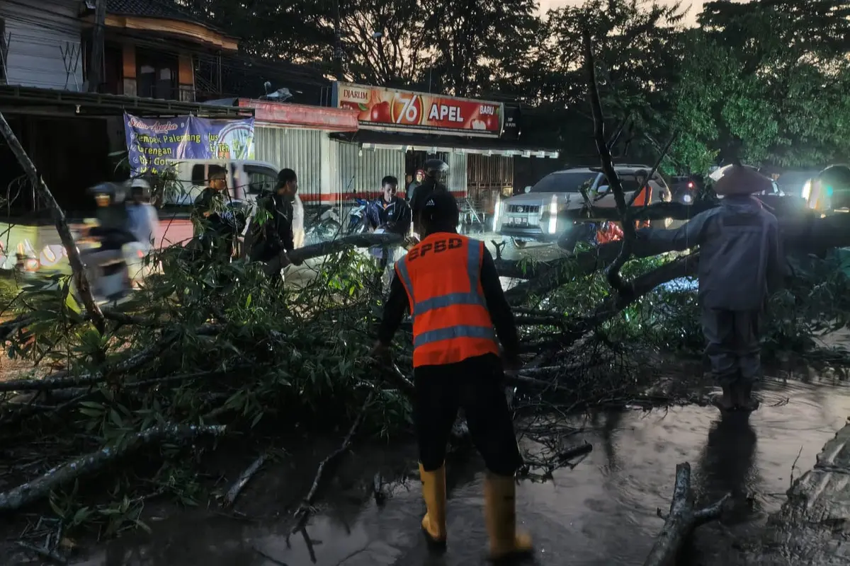 Ratusan rumah terdampak genangan air dan puluhan pohon tumbang akibat hujan deras dan angin kencang yang melanda Kota Metro, Lampung.