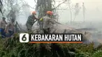 THUMBNAIL KEBAKARAN HUTAN
