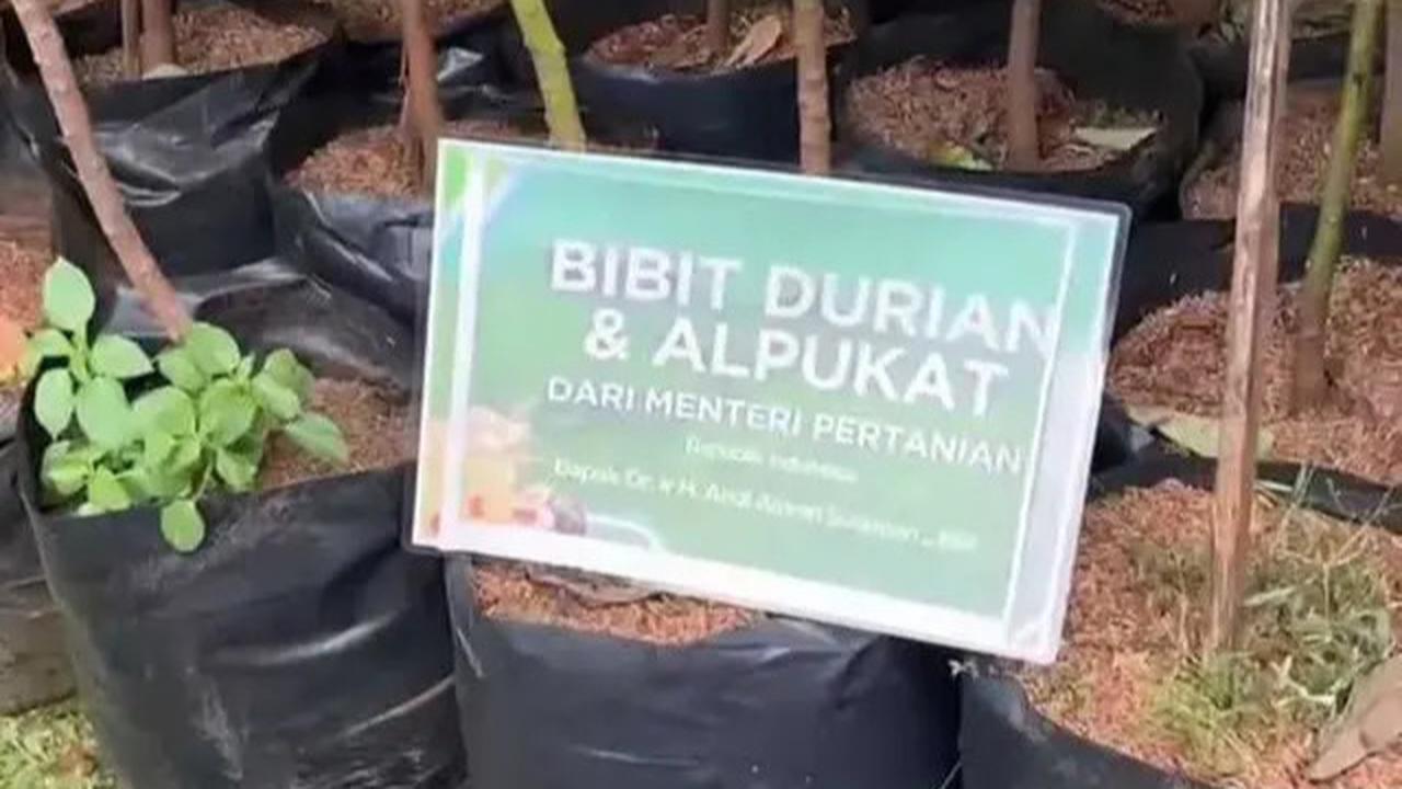 Kado Unik di Pernikahan Putri Karlina Menantu Dedi Mulyadi, Bukan Karangan Bunga