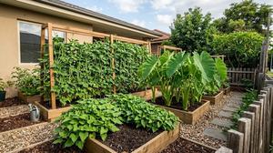 10 Tanaman Pangan Lokal untuk Kebun Rumah Sederhana, Pilihan Praktis untuk Memulai Kebun Pangan