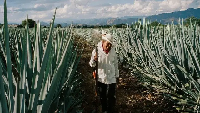 Bergaya Bak Petani Meksiko, Kendall Jenner Dituding Lakukan Perampasan Budaya