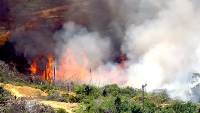 [POLL] Apa Solusi yang Tepat untuk Mengatasi Kabut Asap?